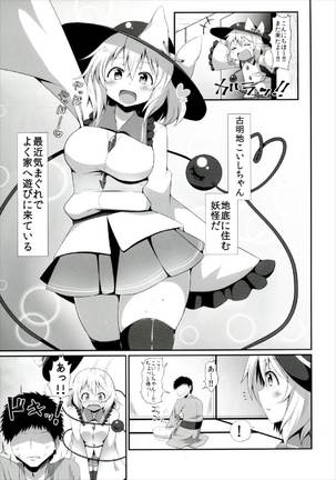 Koishi-chan no Ecchi na Hon Matome! - Page 27