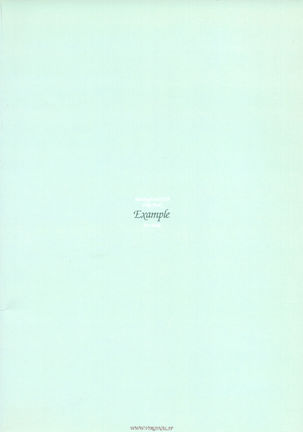 Example Page #18