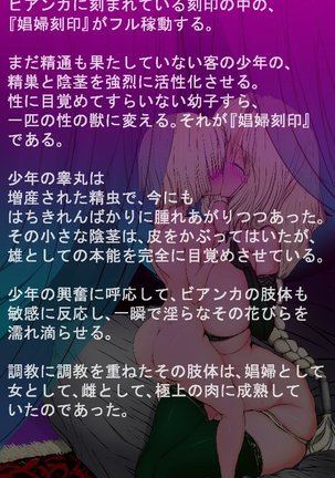 Bianca Choukyou Page #267