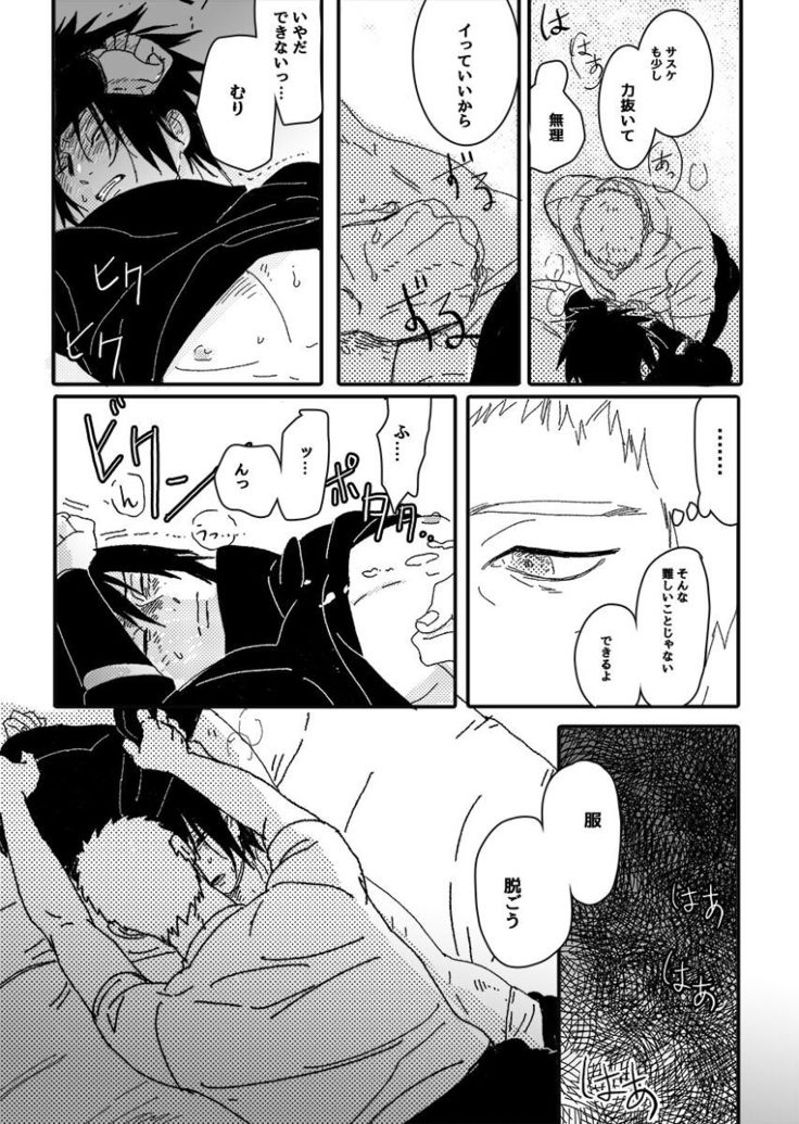 Hokage no koibito