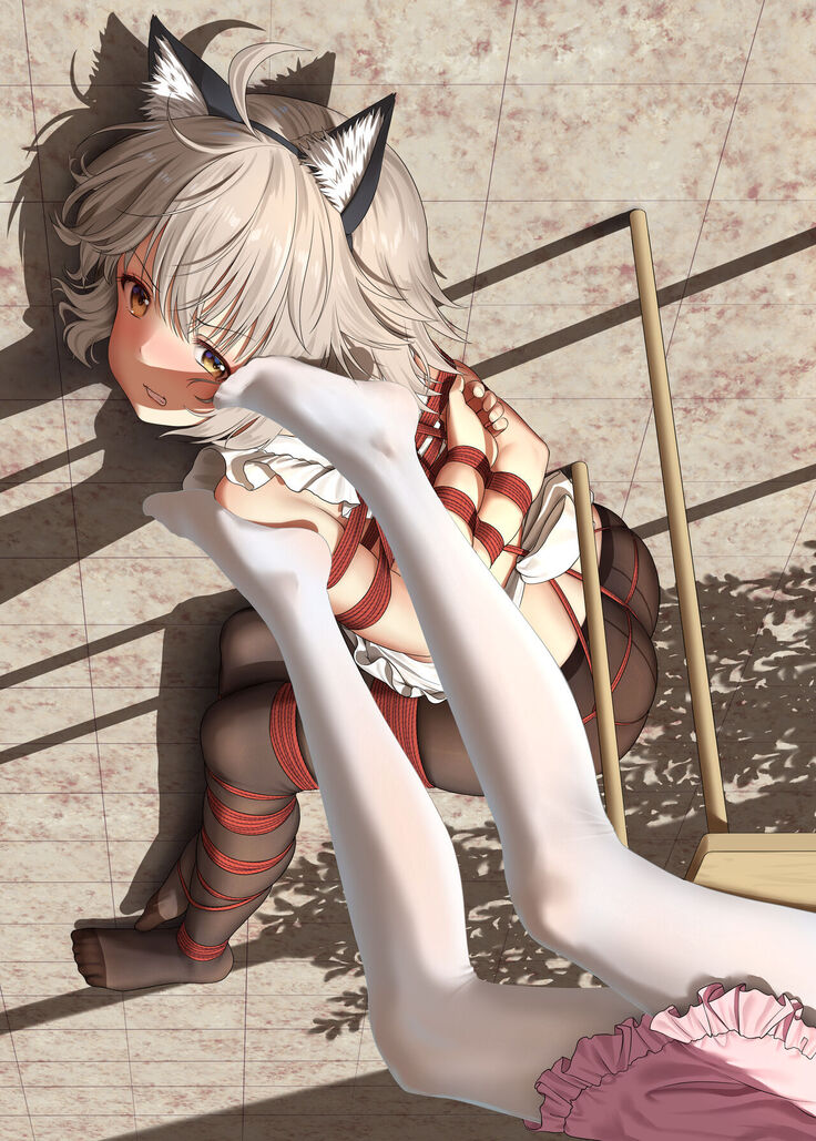 monochrome shinsho