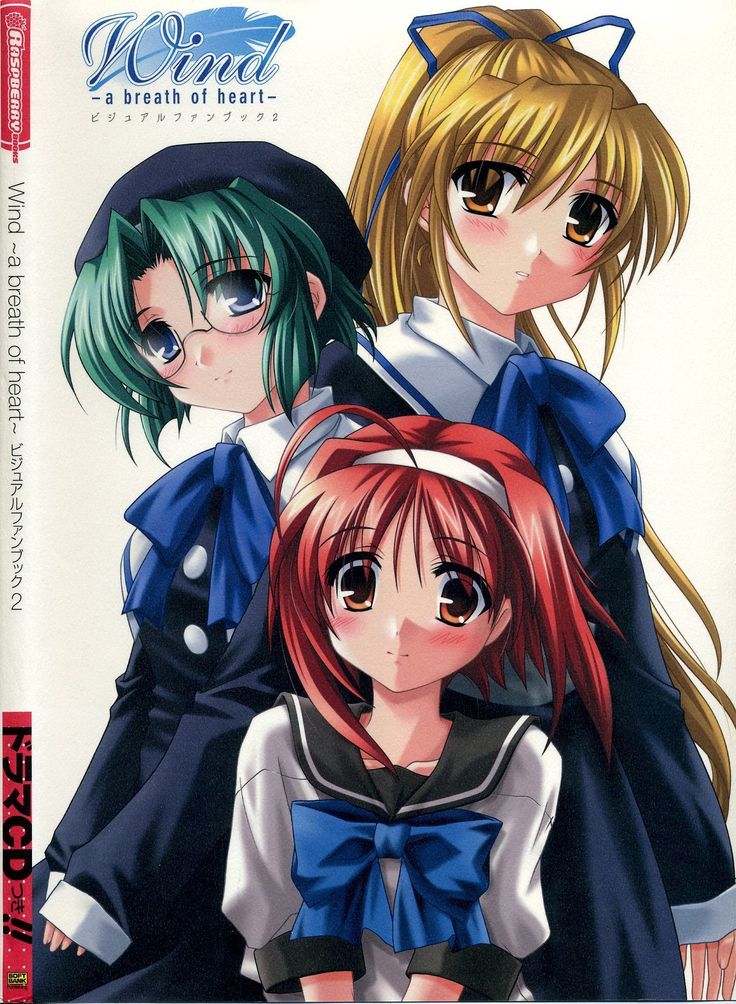 Wind - a breath of heart - Visual Fan Book 1&2