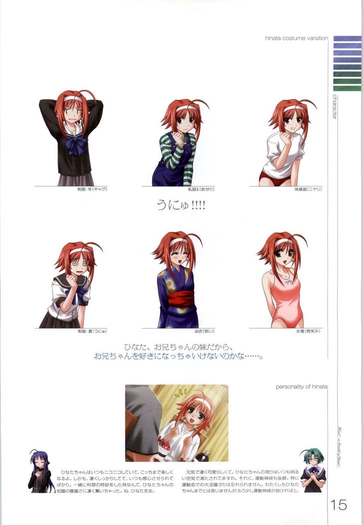Wind - a breath of heart - Visual Fan Book 1&2
