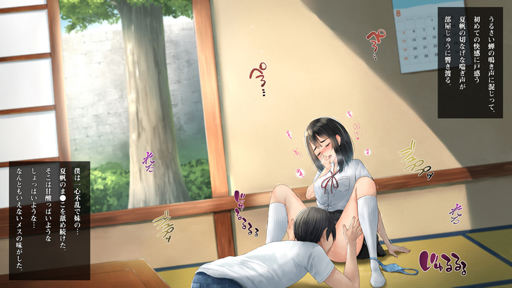 Imouto to Boku no Natsuyasumi ~Inakagurashi no Sei ni Mutonchaku na Imouto to Yarimakuri no Hibi~