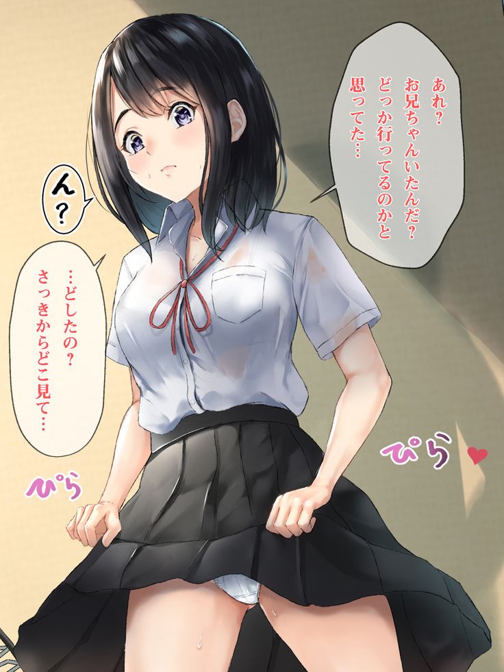 Imouto to Boku no Natsuyasumi ~Inakagurashi no Sei ni Mutonchaku na Imouto to Yarimakuri no Hibi~