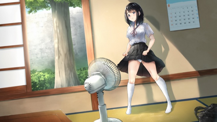 Imouto to Boku no Natsuyasumi ~Inakagurashi no Sei ni Mutonchaku na Imouto to Yarimakuri no Hibi~