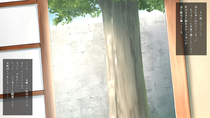 Imouto to Boku no Natsuyasumi ~Inakagurashi no Sei ni Mutonchaku na Imouto to Yarimakuri no Hibi~