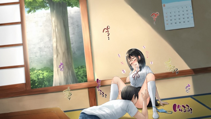 Imouto to Boku no Natsuyasumi ~Inakagurashi no Sei ni Mutonchaku na Imouto to Yarimakuri no Hibi~