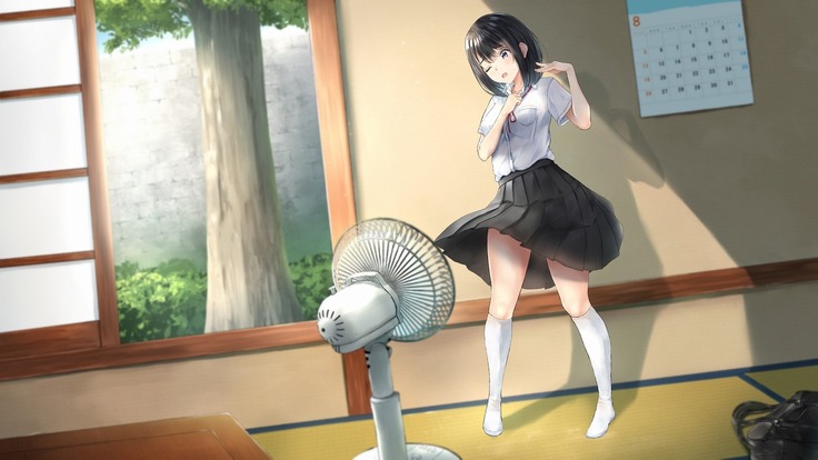 Imouto to Boku no Natsuyasumi ~Inakagurashi no Sei ni Mutonchaku na Imouto to Yarimakuri no Hibi~
