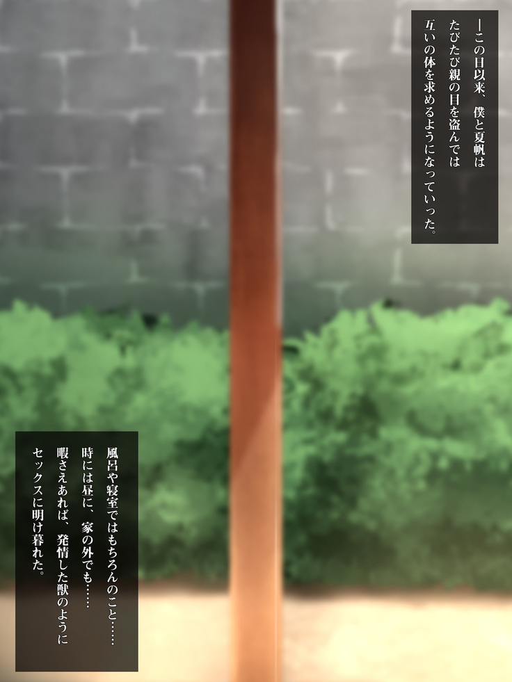 Imouto to Boku no Natsuyasumi ~Inakagurashi no Sei ni Mutonchaku na Imouto to Yarimakuri no Hibi~