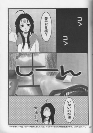 HOHETO 33 Page #37