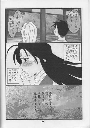 HOHETO 33 Page #44