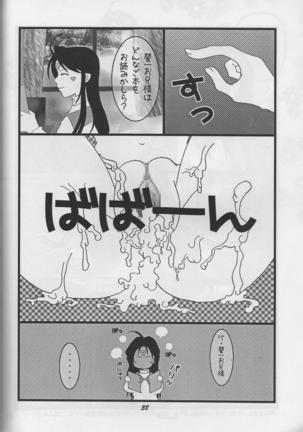HOHETO 33 Page #38