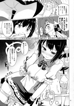 Shameimaru Aya no Appaku Shuzai Jou Page #14