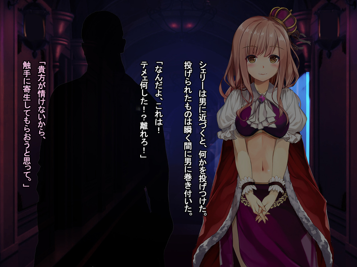The Price of Vengeance ~Despair of a Maid and Little Sister Princess~