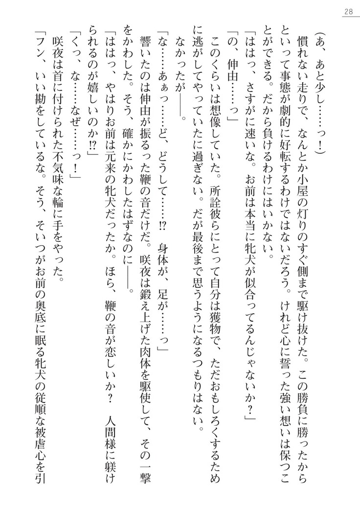 サムライスレイブ外伝　肉悦の牝犬調教