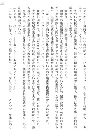 サムライスレイブ外伝　肉悦の牝犬調教 - Page 35