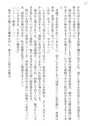 サムライスレイブ外伝　肉悦の牝犬調教 - Page 24