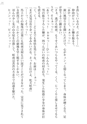 サムライスレイブ外伝　肉悦の牝犬調教 - Page 29