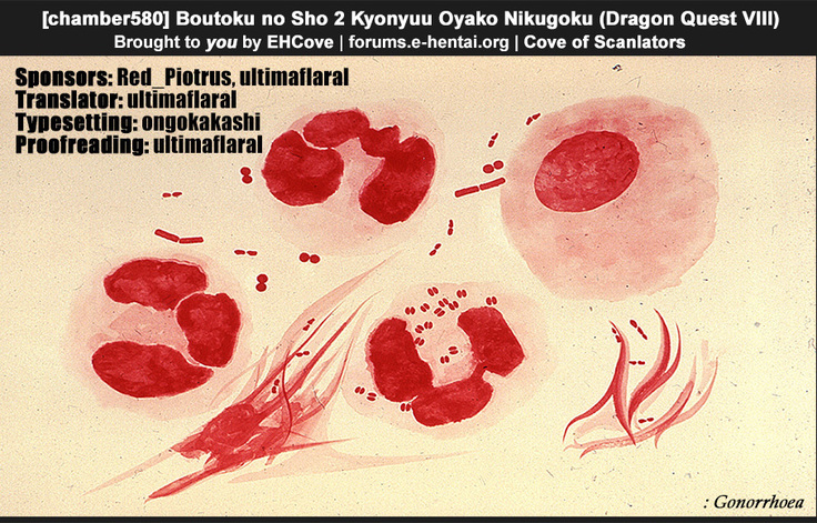 Boutoku no Sho 2 Kyonyuu Oyako Nikugoku