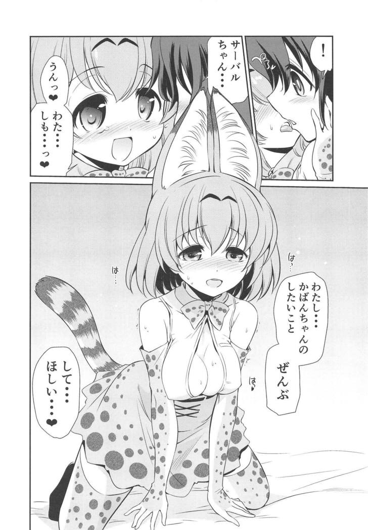 Taihen!! Kondo wa Kaban-chan no Omata ga Harechatta!