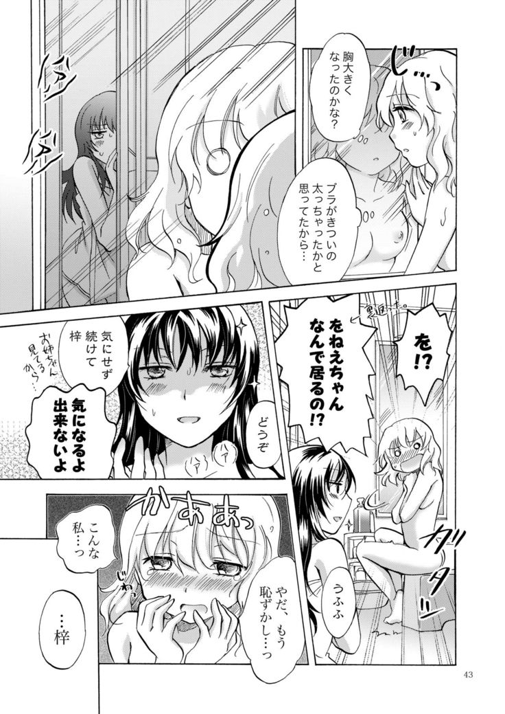 Lily Girls Collection Yuri H Tanpenshuu