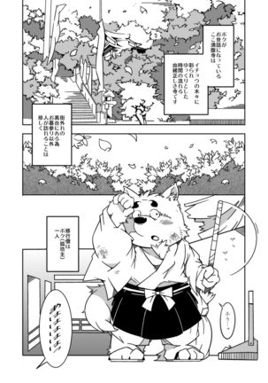 たんたんたぬきのおたまいり Page #3