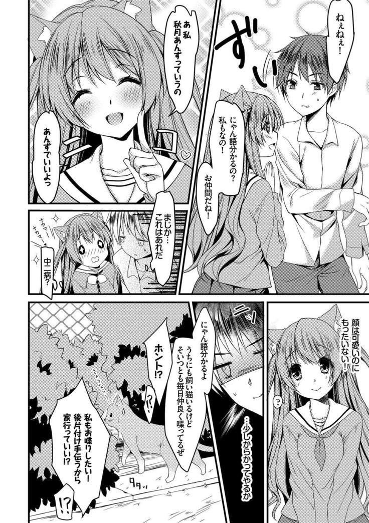 Nekomimi Musume wa Hatsujouki