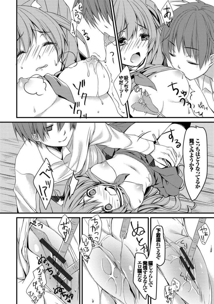 Nekomimi Musume wa Hatsujouki
