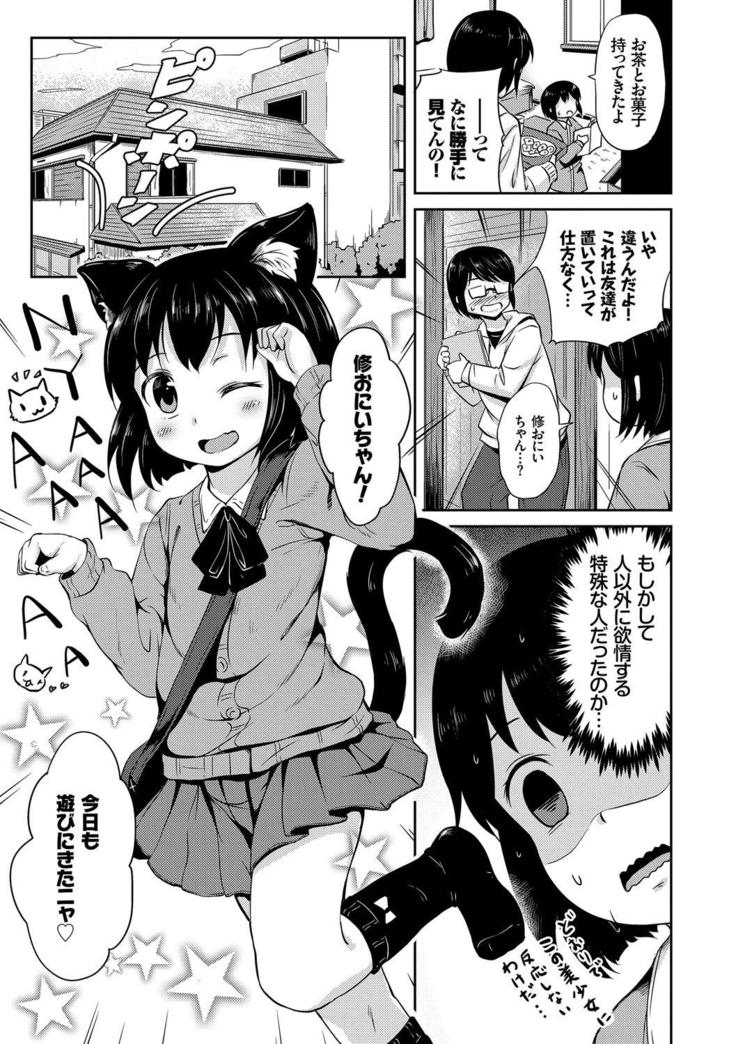 Nekomimi Musume wa Hatsujouki