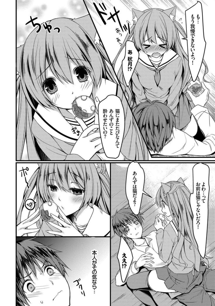 Nekomimi Musume wa Hatsujouki