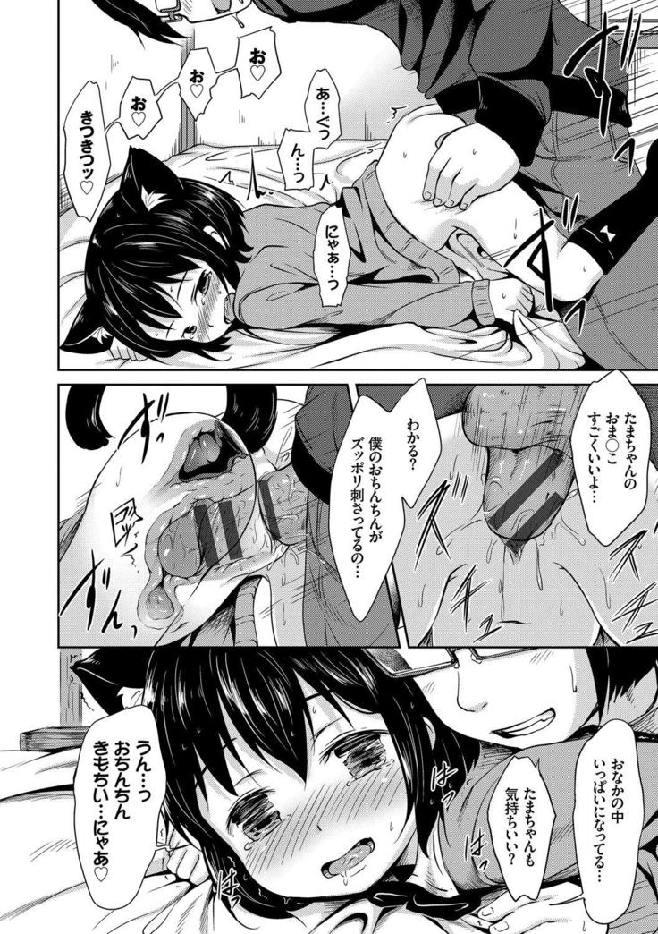 Nekomimi Musume wa Hatsujouki