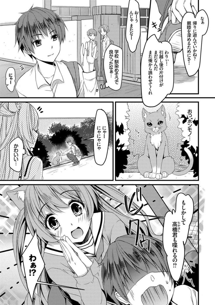 Nekomimi Musume wa Hatsujouki