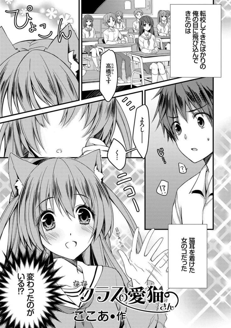 Nekomimi Musume wa Hatsujouki