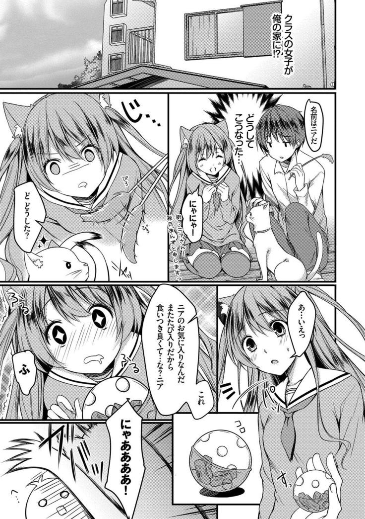 Nekomimi Musume wa Hatsujouki