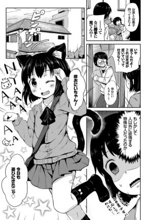 Nekomimi Musume wa Hatsujouki - Page 88