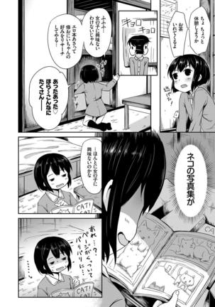 Nekomimi Musume wa Hatsujouki - Page 87