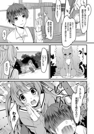 Nekomimi Musume wa Hatsujouki - Page 68