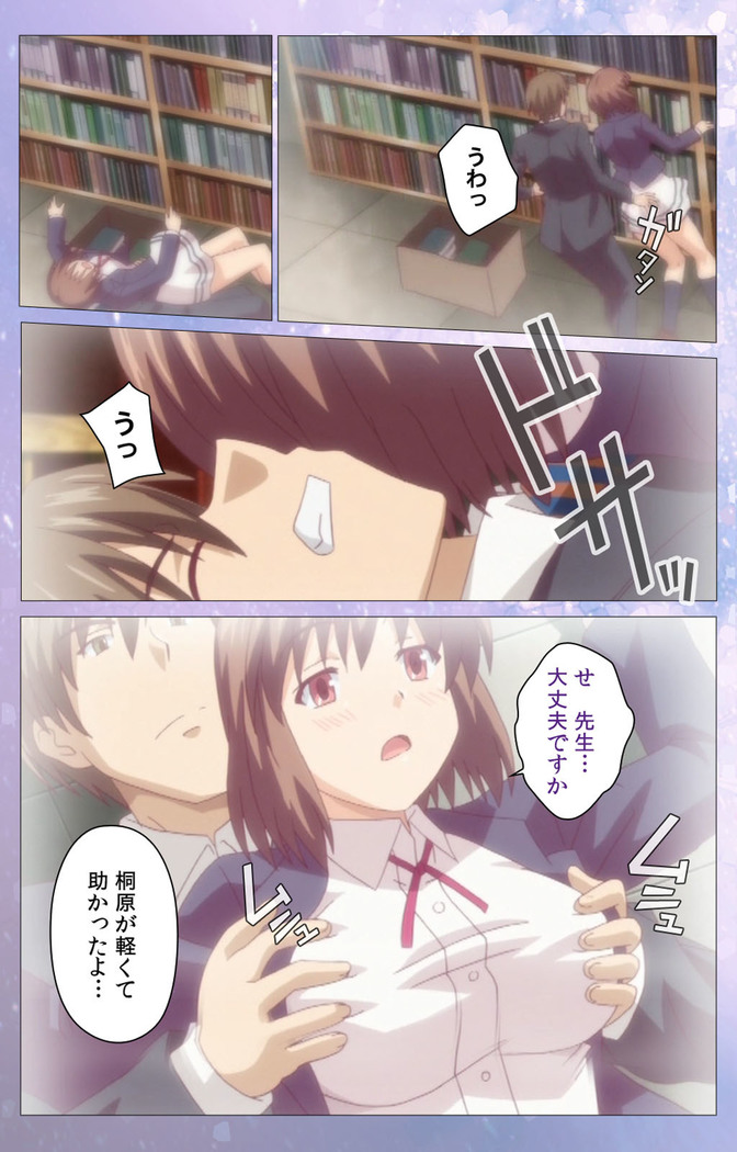 Hakoiri Shoujo -Virgin Territory- Complete ban
