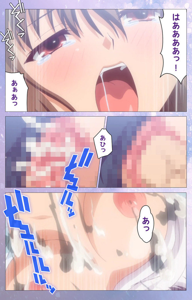 Hakoiri Shoujo -Virgin Territory- Complete ban