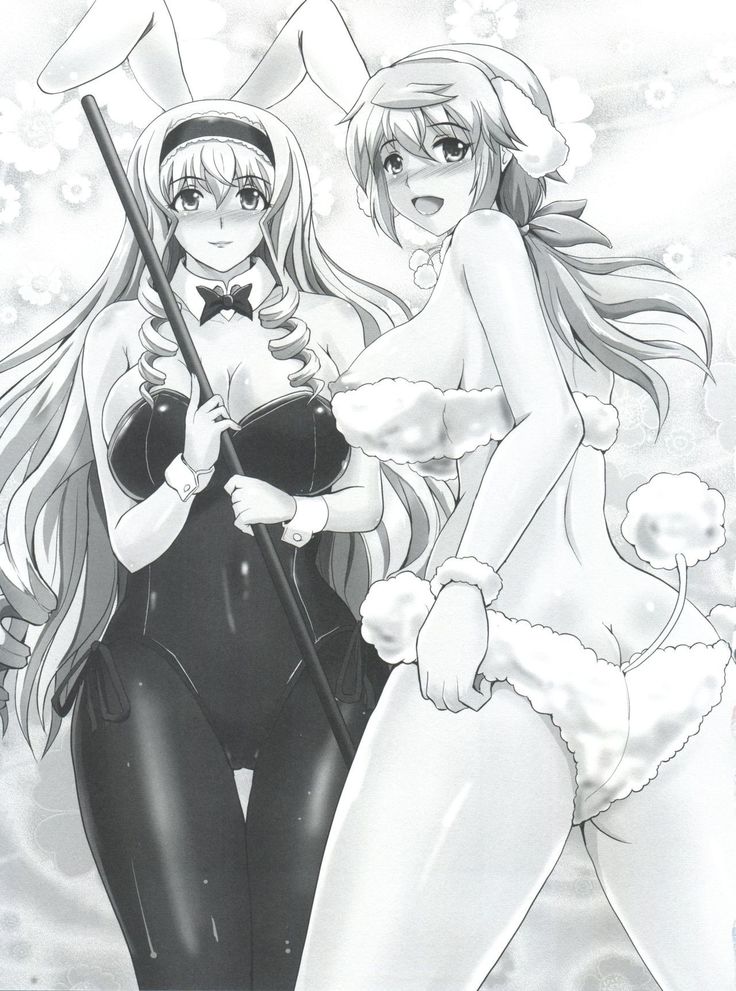 Poodle & Bunny Time