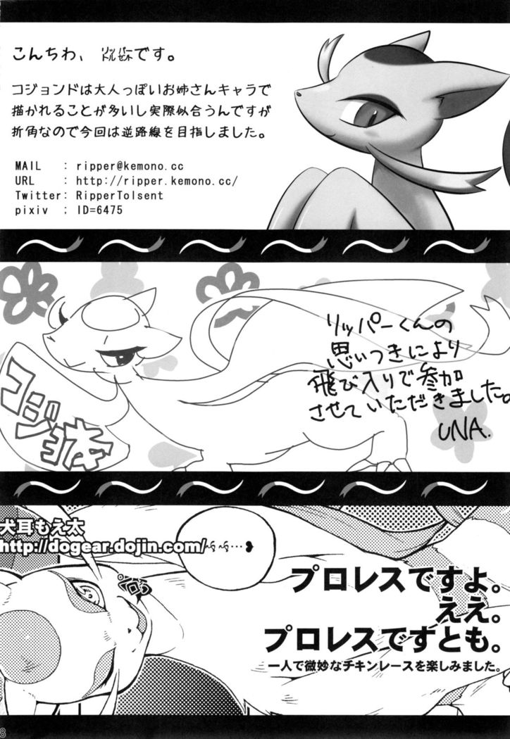 Kojond 100%
