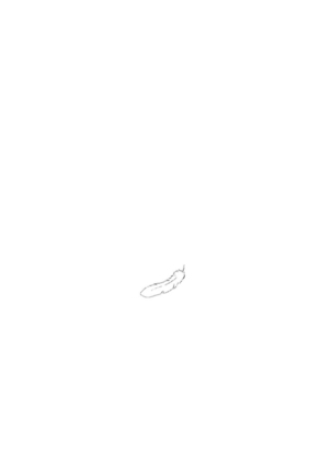 One Room Angel Ch. 1-8 完结 Page #231