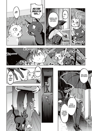 Oyukake Nyanko | Gatitas no Invitadas - Page 5