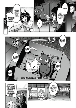 Oyukake Nyanko | Gatitas no Invitadas - Page 3