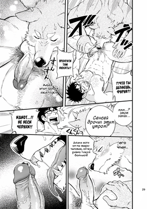 Ookami-kun no Yasei no Jijou Page #33
