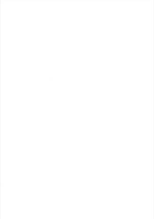 Image 4161366