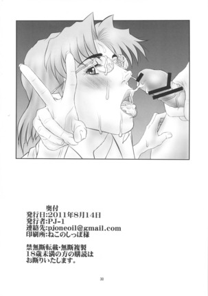 Misato to Ritsuko Monzetsu Misoji Yuugi - Page 29