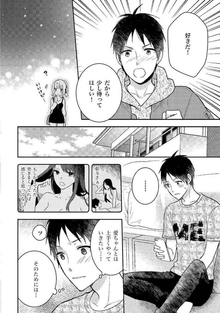 膣挿入＆ピストン運動完全マニュアル イラスト版……ピスとんッ！