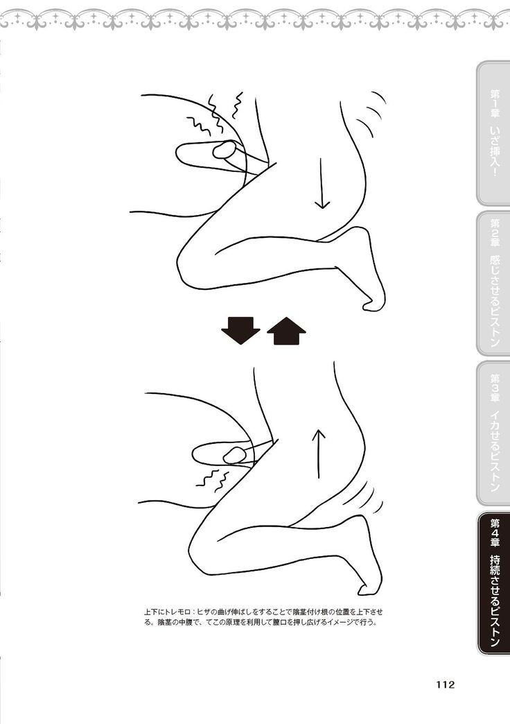 膣挿入＆ピストン運動完全マニュアル イラスト版……ピスとんッ！